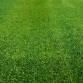 Обикновена изкуствена трева на супер цена